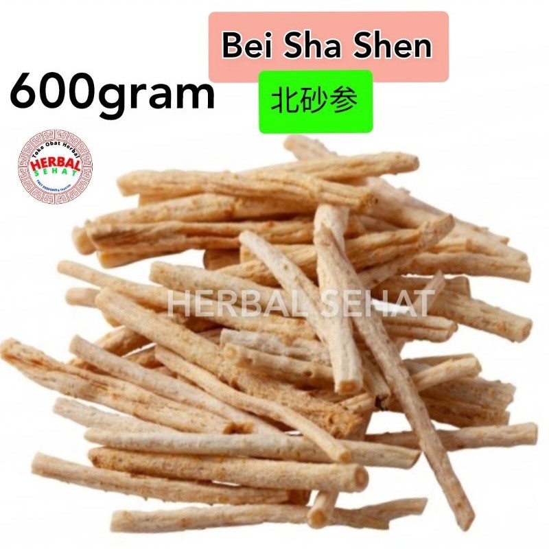 

600gram Bei Sha Shen Sa Sem Radix Glehniae Littoralis [PREMIUM]