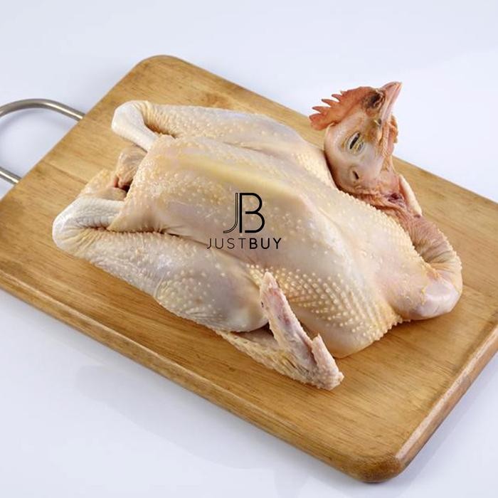 

Ayam Pejantan ekoran utuh
