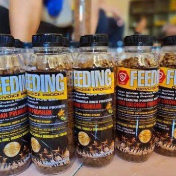 RB22 Feeding oxivoice pakan bubur lolohan murai kacer pentet ciblek jenngot kicau jalak