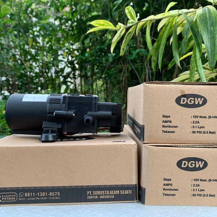Pompa Air DC 12V Dinamo Sprayer Elektrik DGW Original