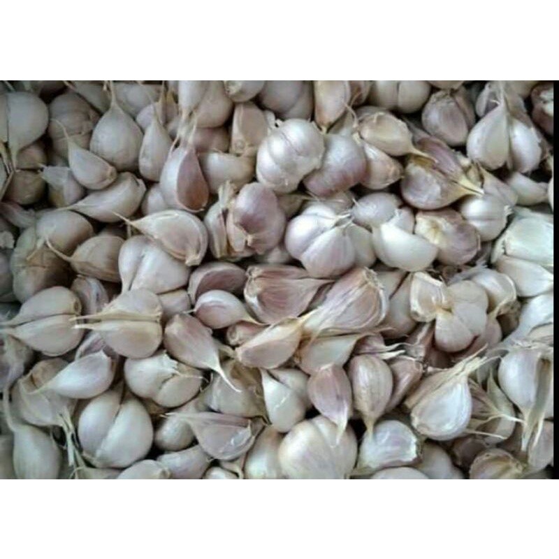 

Bawang Putih Kating 250gr