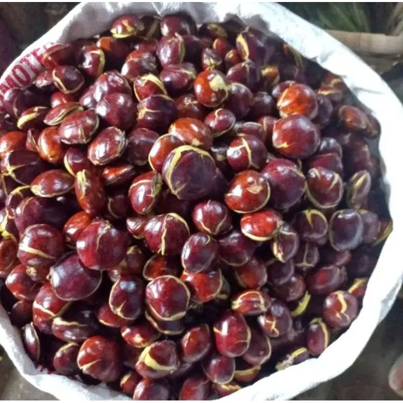 

Sayur Segar Jengkol Tua Mentah Sepi Tua Super Murah 500grm