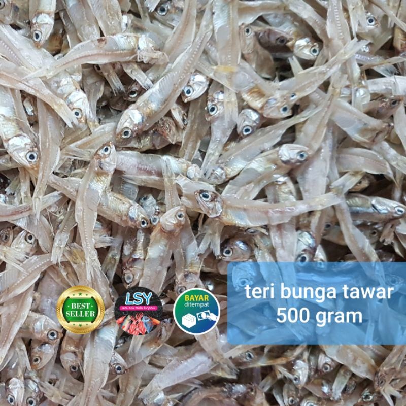 

Terlaris! Teri Tawar Bunga Super gram Tanpa Rasa Asin