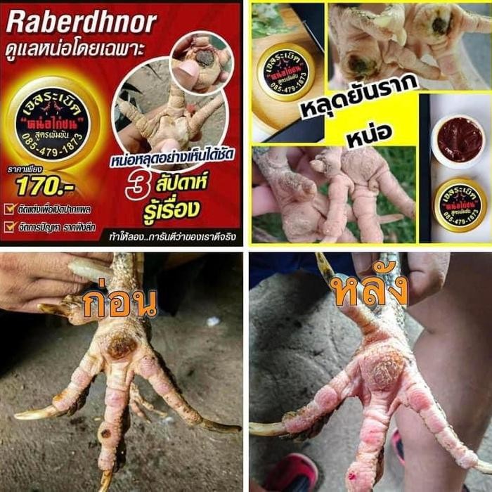 Salep Bubul Ayam Raberdhnor Gold Crem Obat Kutik Kapalan Kaki Ayam
