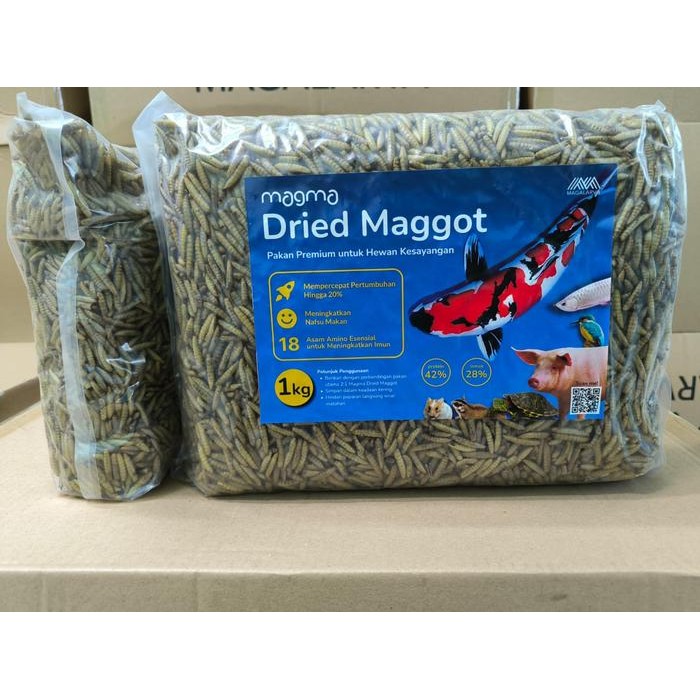 Dried Maggot Kering BSF 1Kg Kualitas Premium Grade A -1kg