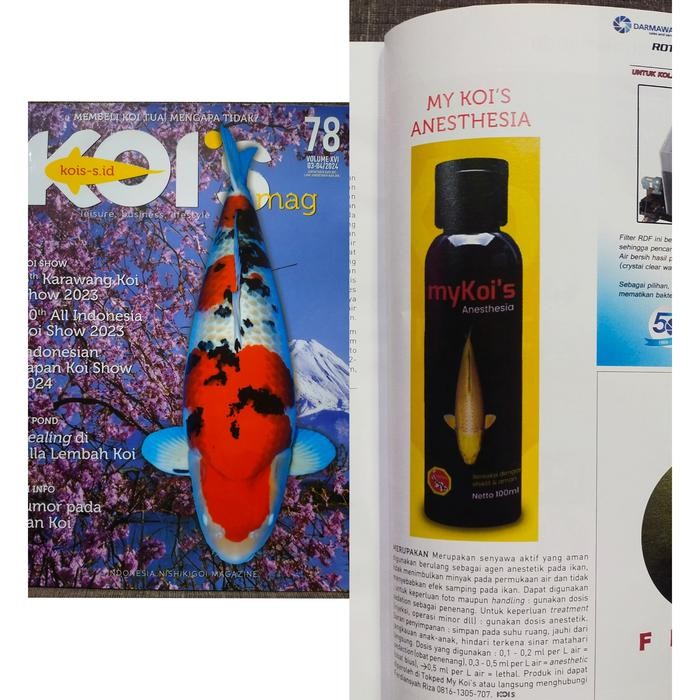 BIUS IKAN URBAN FISH ANESTESI UNTUK ARWANA, KOI 100 ML