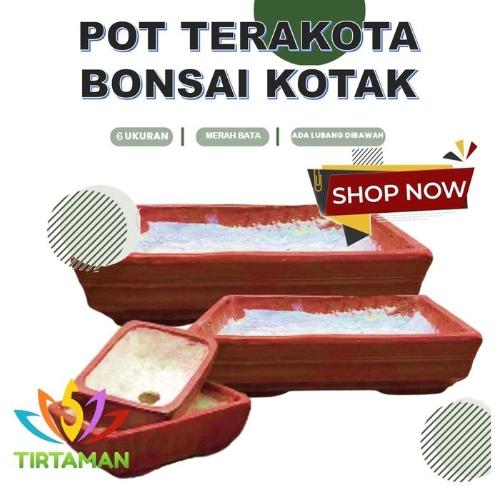 pot terakota bonsai kotak / pot gerabah bonsai kotak / pot bonsai tanah liat kotak [reguler termasuk