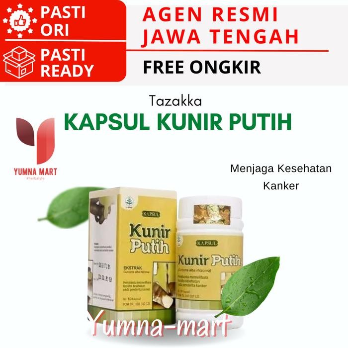 KUNIR KUNYIT PUTIH 60 Kapsul Asli Herbal