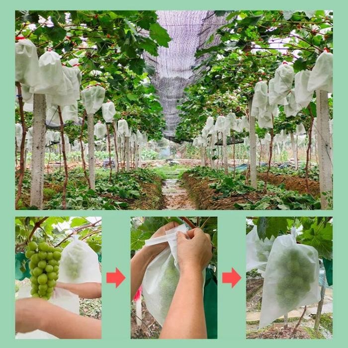 Pembungkus buah/Fruit Cover Paket 100pcs Fruit Cover Easy Grow Pembungkus Buah