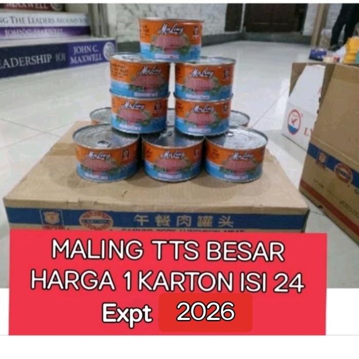 

MALING TTS 397GR/KARTONAN/UKURANBESAR KODE 673