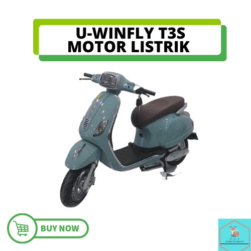 Motor Listrik Dewasa U-Winfly T3S 1200 Watt