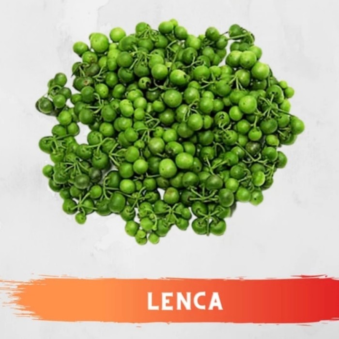 

sayur leunca 500gram