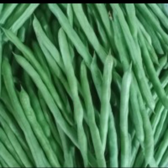 

buncis 1 kg