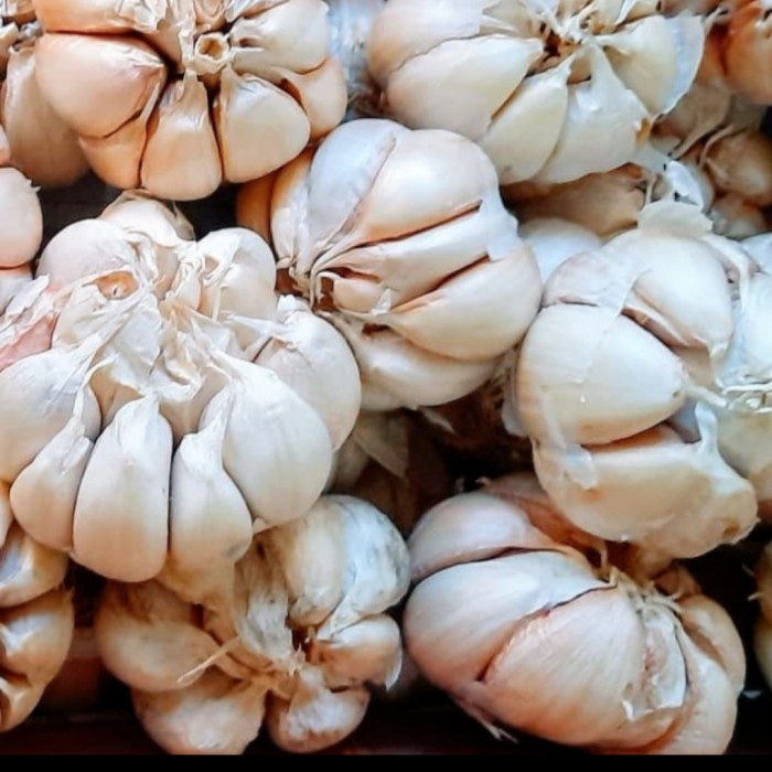 

BAWANG PUTIH BERSIH MURAH 1KG
