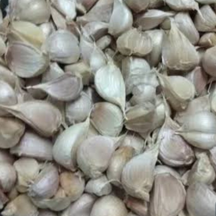 

BAWANG KATING BERSIH 1KG MURAH