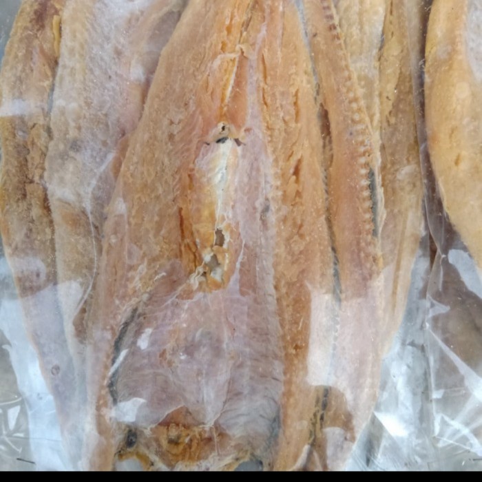 ikan asin gabus laut 500gr 500 gr 500gram