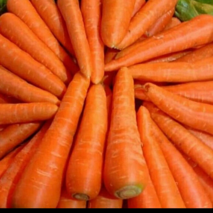 

WORTEL IMPORT SEGAR MURAH 500 gr