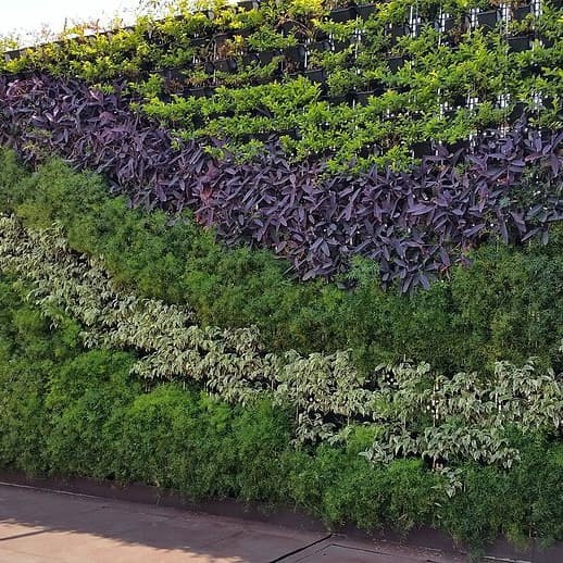 

Jasa Pasang Vertical Gardeen