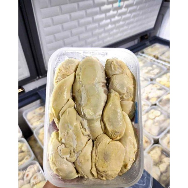 

DURIAN MONTONG BALI DAN MONTONG PALU SURABAYA , DURIAN MEDAN SURABAYA
