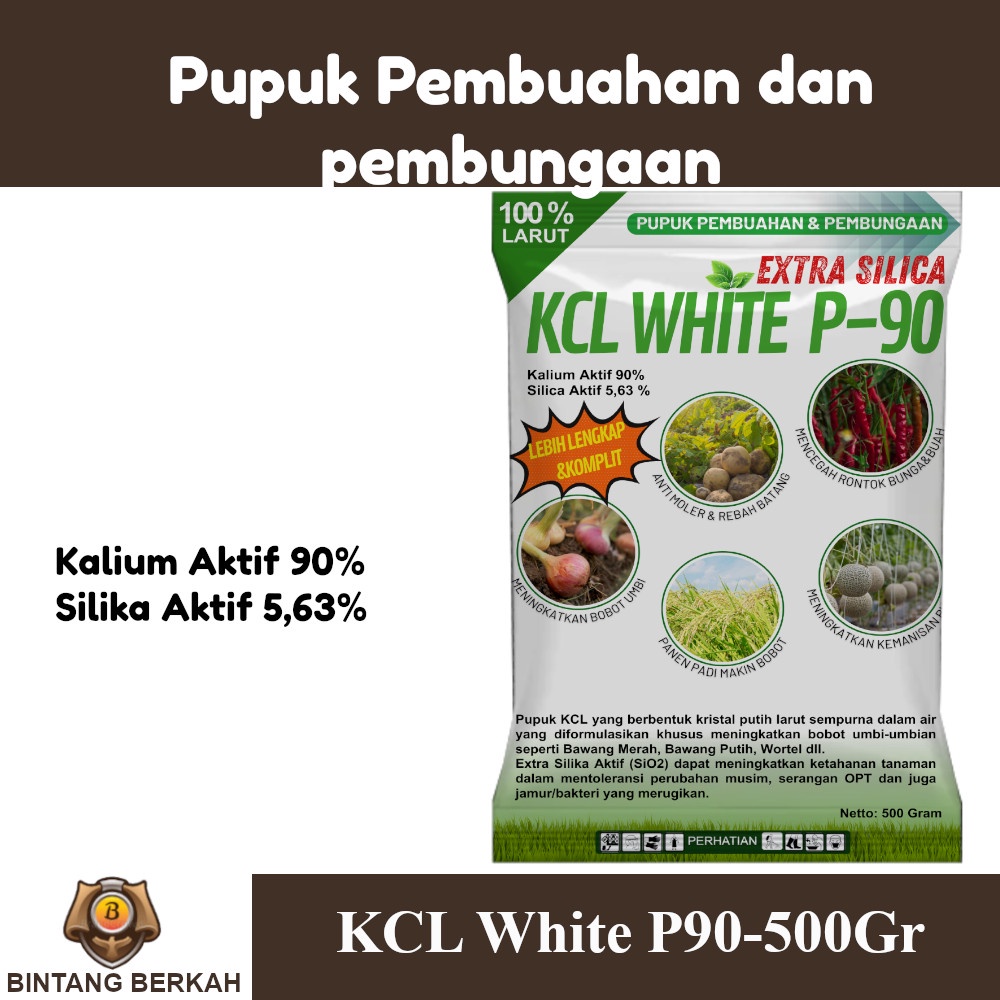 KCL White P90 Plus Silika Pupuk Pembesar Umbi Bawang