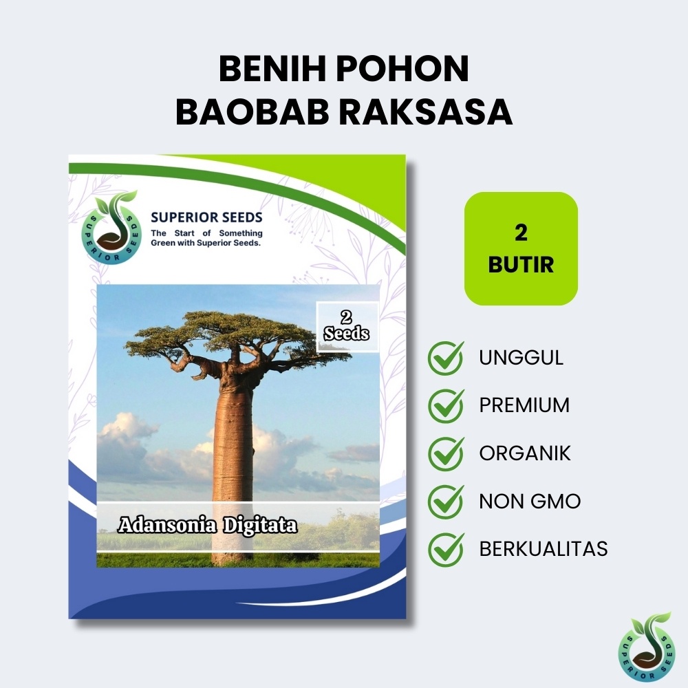 Biji Benih Pohon Baobab Raksasa (Superior Seeds)