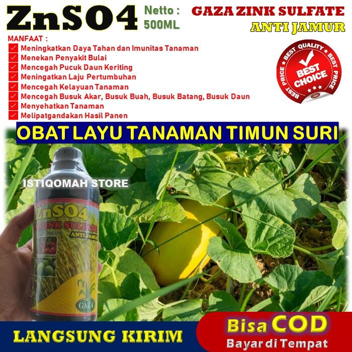 Promo Znso4 Gaza 500Ml Pupuk Semprot Obat Layu Tanaman Timun Suri Paling Ampuh Pupuk Cair Zinc