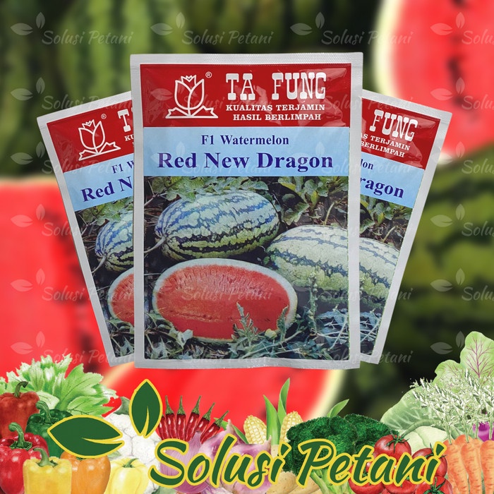 Semangka Inul Red Dragon 20gr Biji Buah Bibit Ta Fung Tafung PREMIUM