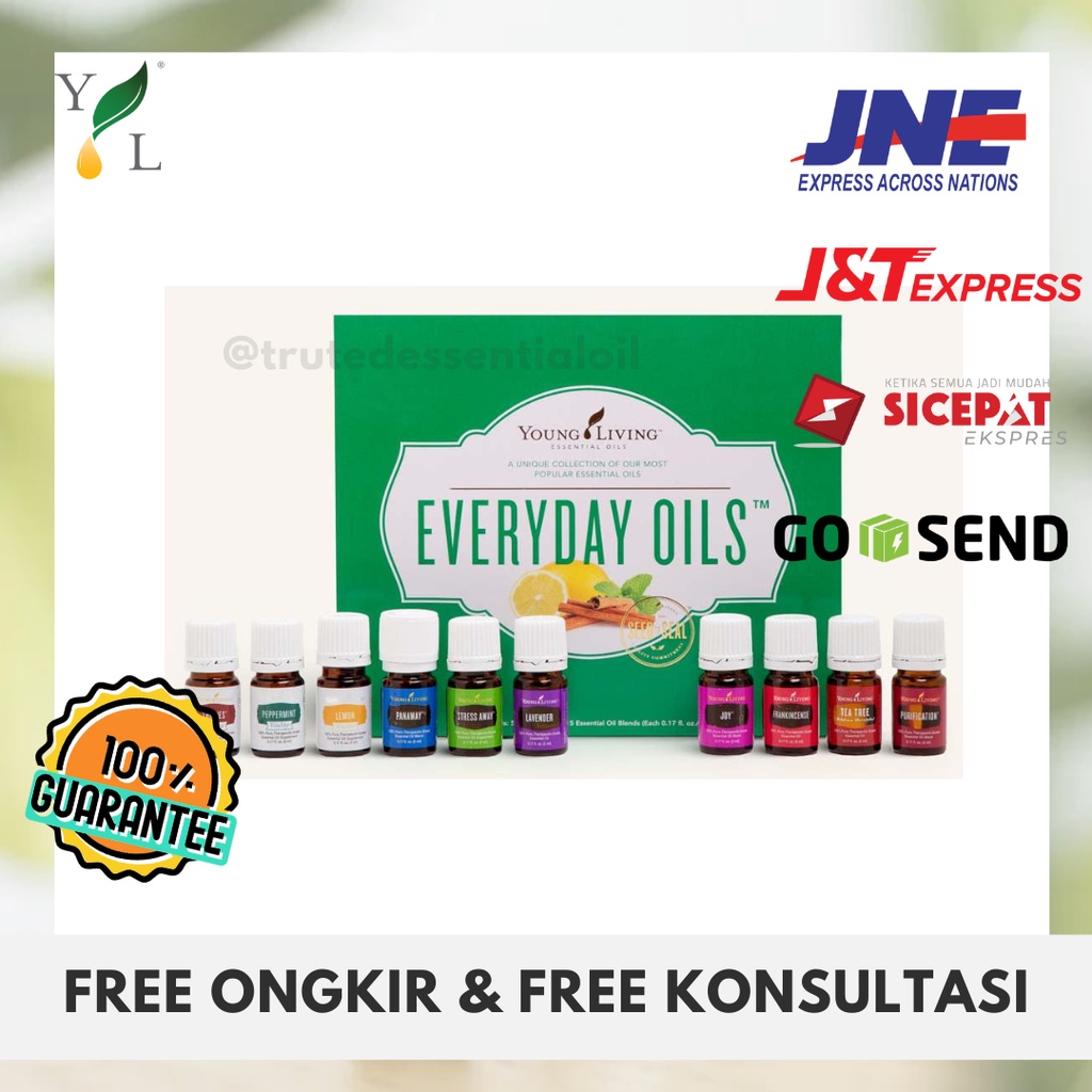 EVERYDAY SET ESSENTIAL OIL YOUNG LIVING