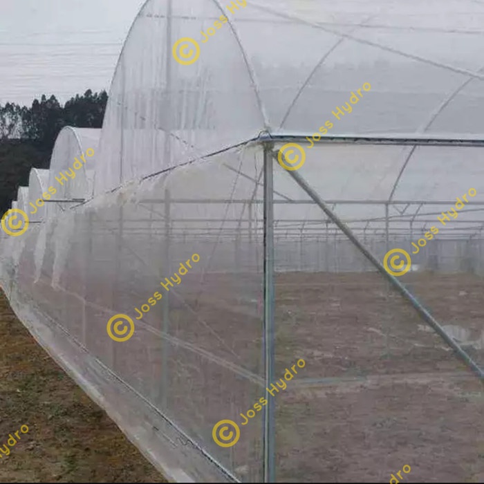 Insect net (waring) putih lebar 3 x 50 meter