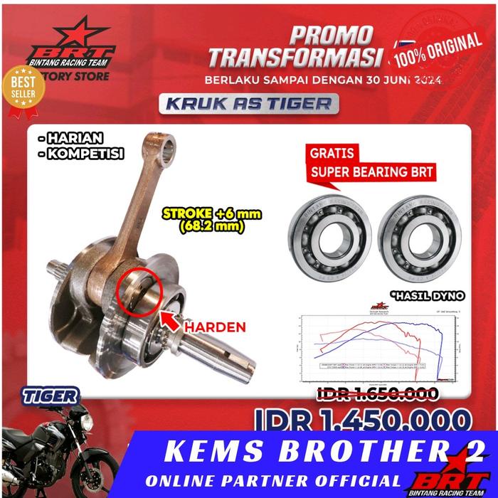 KRUK AS TIGER BRT STROKE UP FREE BERING KRUK AS BRT