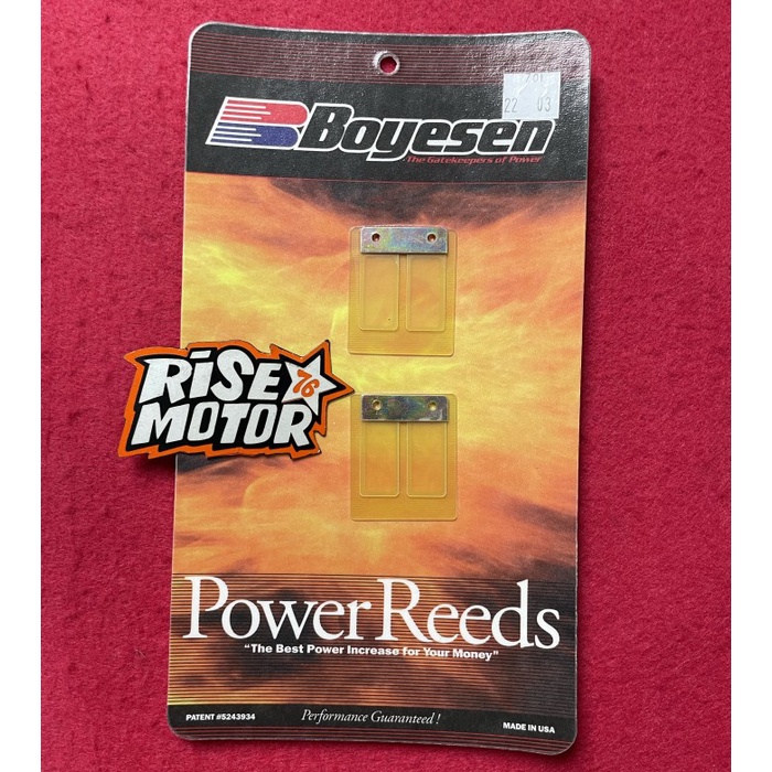 Lidah Valve Membran Boyesen Rx King