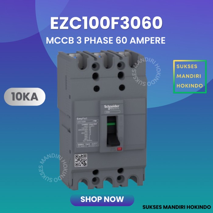 Hemat Mccb 3 Phase 60 Ampere 3P 60A Original Sni Schneider Easypact Ezc100F