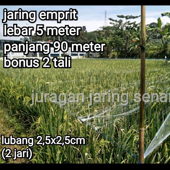 PREMIUM PROMO JARING BURUNG TERMURAH , JARING EMPRIT, JARING SAWAH LEBAR 5 METER PANJANG 90 METER