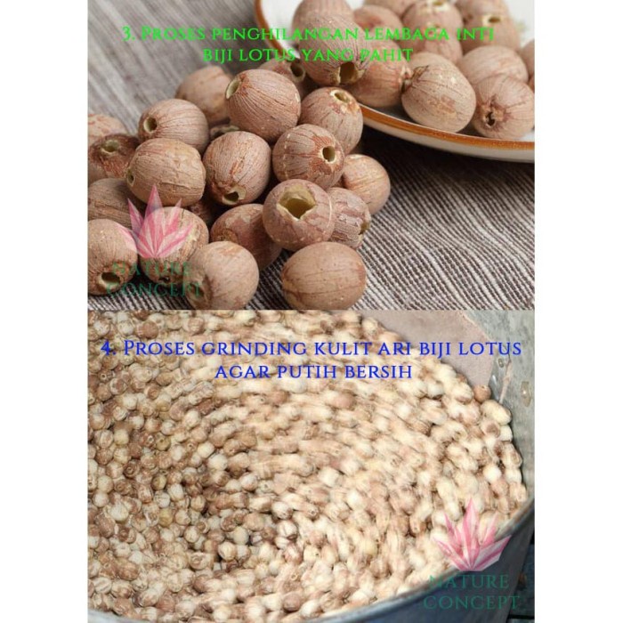 

BARANG TERLARIS Lotus Seed Biji Teratai Makanan Diet Sehat Alami Organik 400 Grams