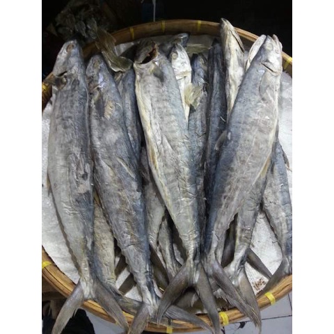 BARANG TERLARIS Ikan asin Tenggiri Medan