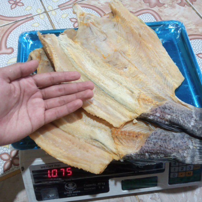 

BARANG TERLARIS Ikan asin Gabus besar Super-1kg -KHR