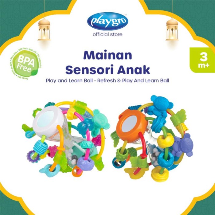 Playgro Play And Learn Ball