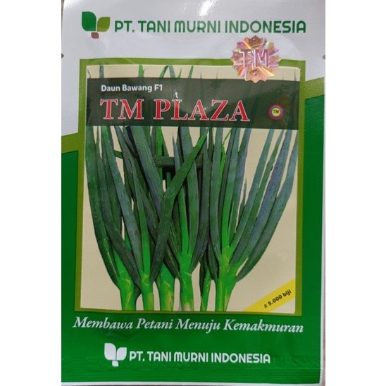 New Benih Bawang Daun Tm Plaza Isi 5.000 Biji Ready