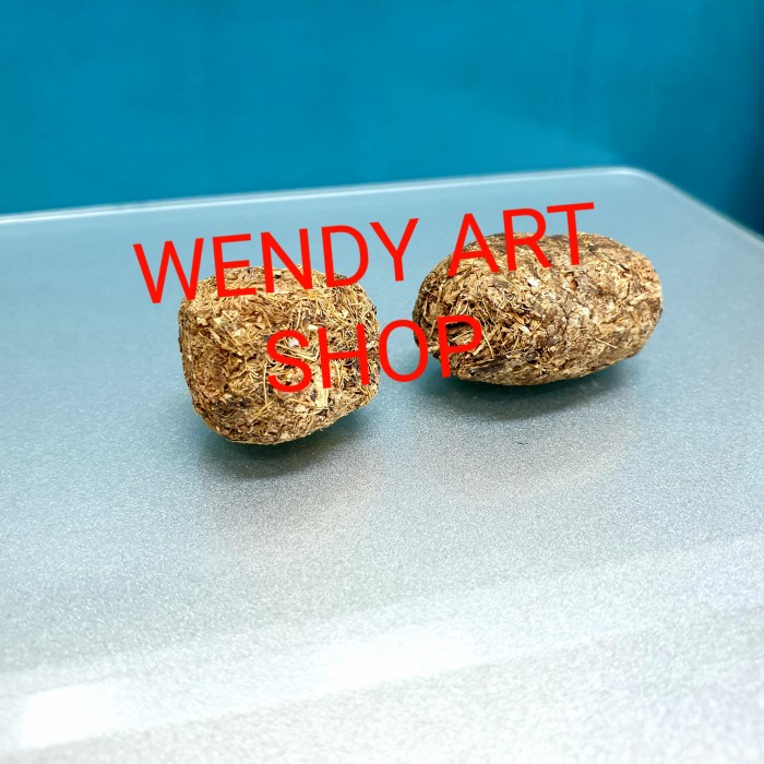 Batu Landak Atau Geliga Landak Untuk Herbal