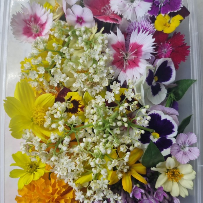 

Ready Stok" Mix Edible Flower 100 Pcs
