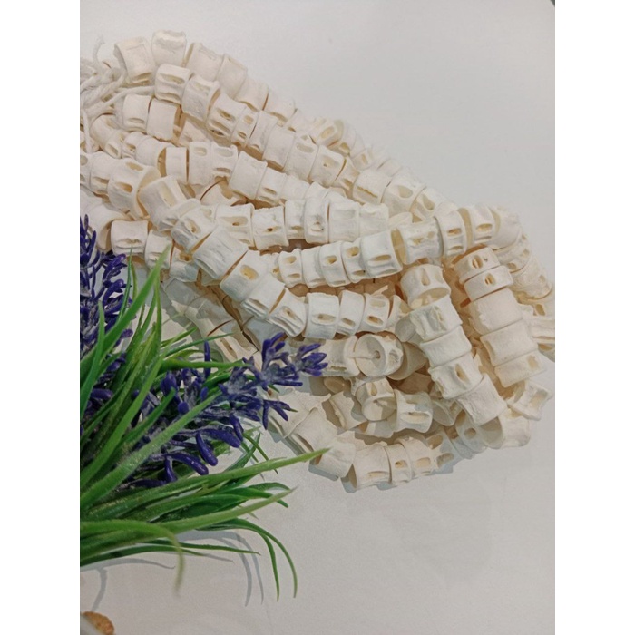 

((((()paling dicari] TULANG IKAN PARI 8-12MM WHITE BAHAN PERHIASAN