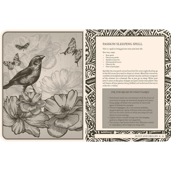 

Diskon Lost Book Of Spells By Fiona Horne Rockpool Publishing Cod