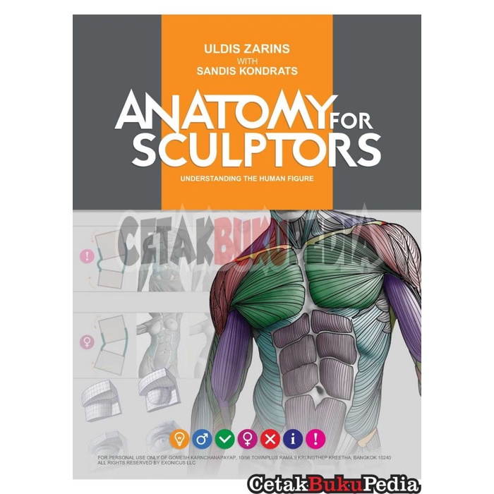 Book Anatomy Sculptors Understanding Human Figure Uldis Zarins -Printwarna Softcover