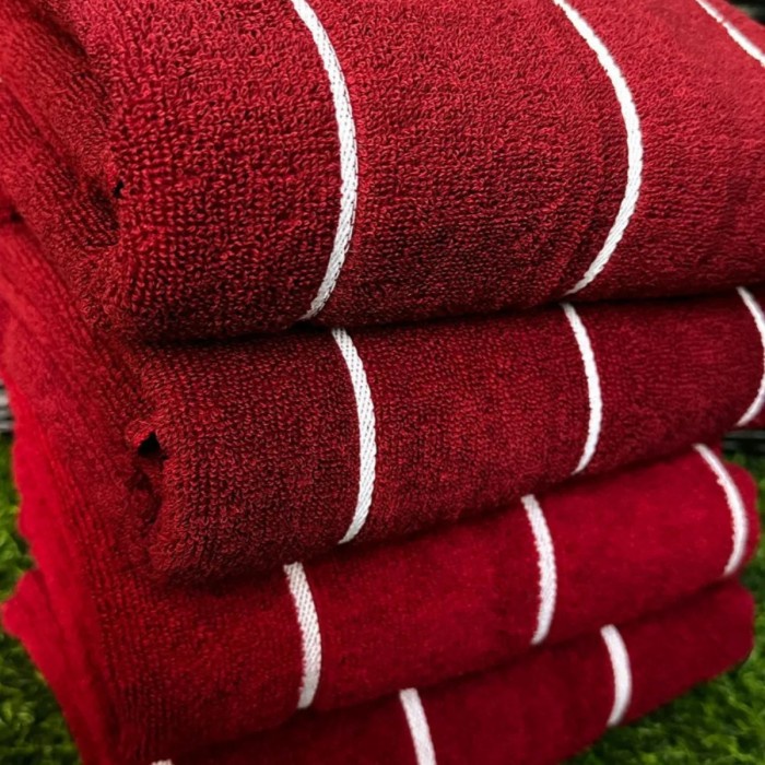 Handuk Terry Palmer Premium 70X140