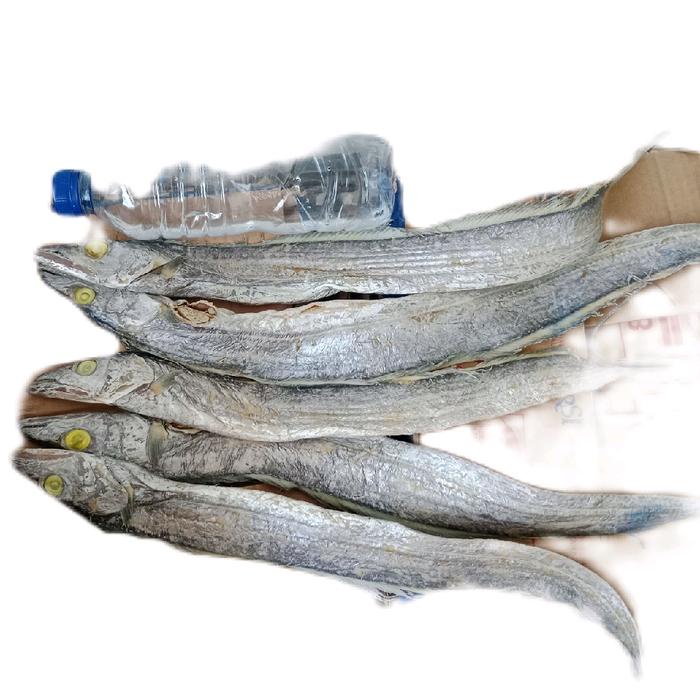

ikan baledang layur asin jumbo kering