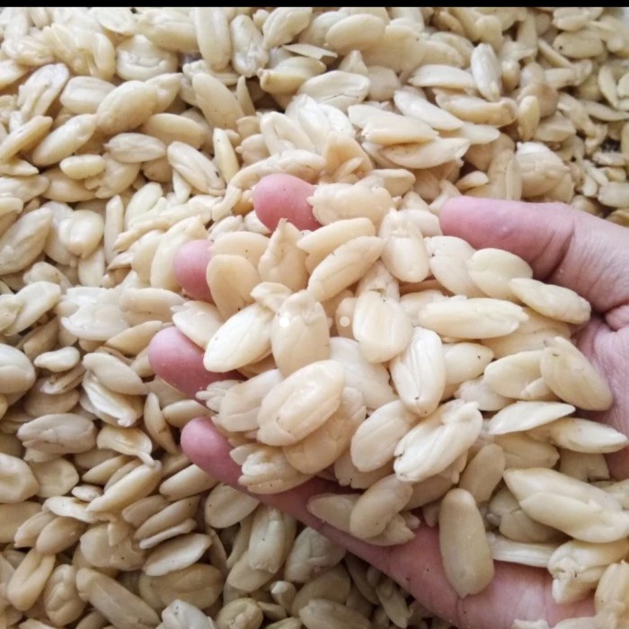 

Terlaris Kenari Kupas/ Kacang Kenari Kupas Ready