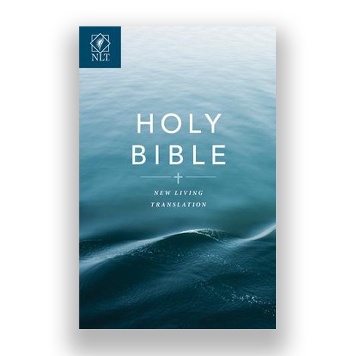 

Nlt Gift & Award Economy Bible