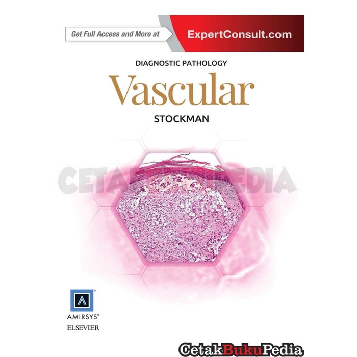book Diagnostic Pathology Vascular Stockman softcover