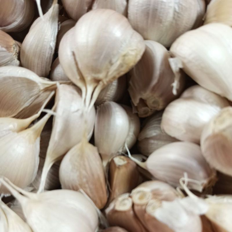 

Bawang putih kating bersih 500 gram