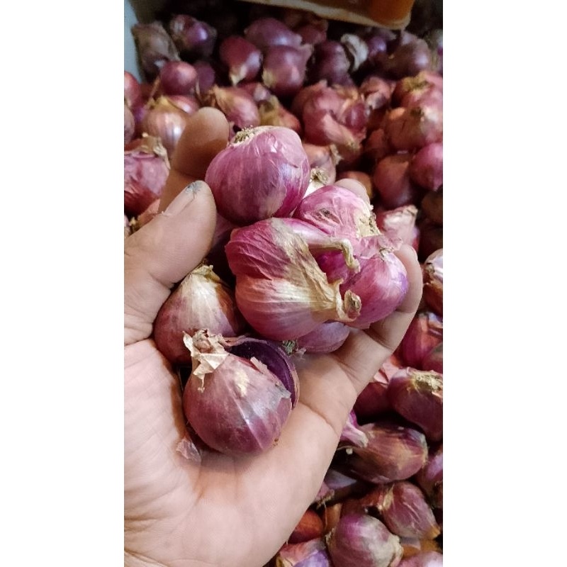 

bawang merah Brebes kering ukuran besar 1kg